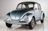 Beetle 1302