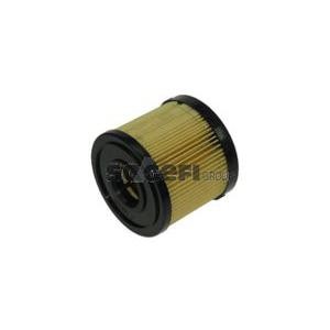 горивен филтър FRAM CG8953ECO 