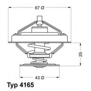 термостат WAHLER 4165.79D