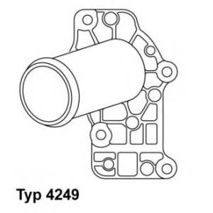 термостат WAHLER 4249.83D