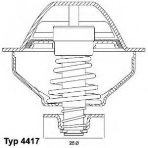 термостат WAHLER 410289.81D