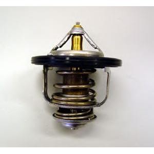 термостат WAHLER 410182.84D