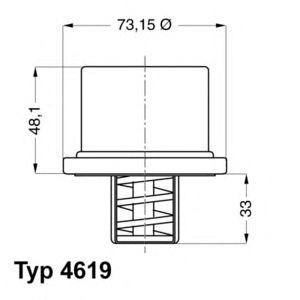 термостат WAHLER 4619.80 