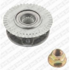 комплект лагер главина SNR R160.47