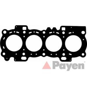 гарнитура, цилиндрова глава PAYEN AB5120 