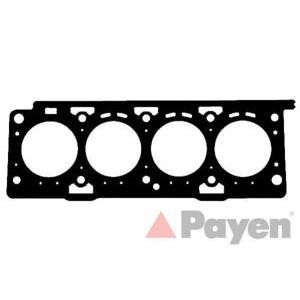 гарнитура, цилиндрова глава PAYEN AB5150 