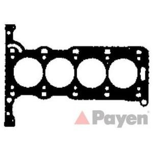 гарнитура, цилиндрова глава PAYEN AB5240