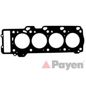 гарнитура, цилиндрова глава PAYEN AB5560 