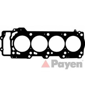 гарнитура, цилиндрова глава PAYEN AB5570 