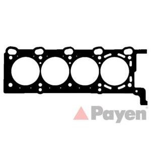 гарнитура, цилиндрова глава PAYEN AC5380 