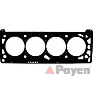 гарнитура, цилиндрова глава PAYEN AC5460 