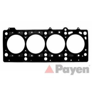 гарнитура, цилиндрова глава PAYEN AC5560 