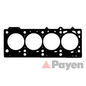гарнитура, цилиндрова глава PAYEN AC5570 