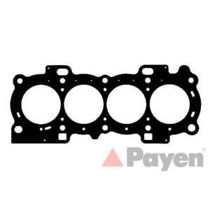 гарнитура, цилиндрова глава PAYEN AC5860 
