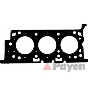 гарнитура, цилиндрова глава PAYEN AC5870 