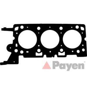 гарнитура, цилиндрова глава PAYEN AC5880 