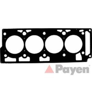 гарнитура, цилиндрова глава PAYEN AC5890 