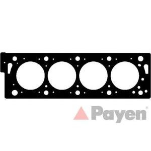 гарнитура, цилиндрова глава PAYEN AD5100