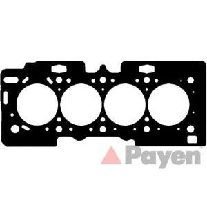 гарнитура, цилиндрова глава PAYEN AE5030