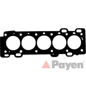 гарнитура, цилиндрова глава PAYEN AE5140