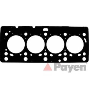 гарнитура, цилиндрова глава PAYEN AE5200 