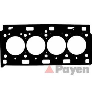 гарнитура, цилиндрова глава PAYEN AE5210