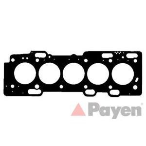 гарнитура, цилиндрова глава PAYEN AE5300