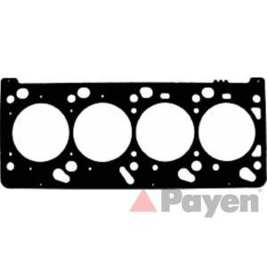 гарнитура, цилиндрова глава PAYEN AE5320 