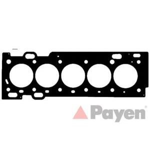 гарнитура, цилиндрова глава PAYEN AE5560 