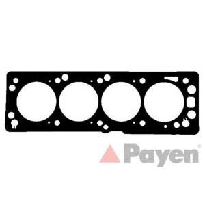 гарнитура, цилиндрова глава PAYEN AE5920