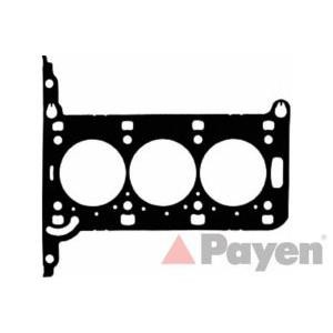 гарнитура, цилиндрова глава PAYEN AE5950 