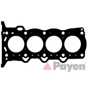 гарнитура, цилиндрова глава PAYEN AG7600 