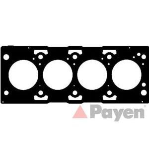 гарнитура, цилиндрова глава PAYEN AG7930