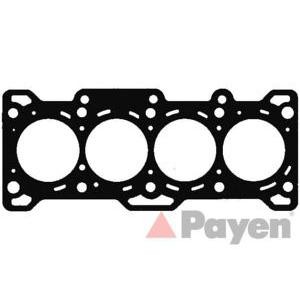 гарнитура, цилиндрова глава PAYEN AG7990 