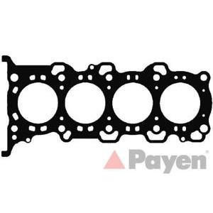 гарнитура, цилиндрова глава PAYEN AG8120 