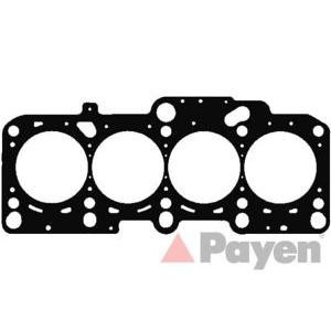гарнитура, цилиндрова глава PAYEN AG8810 