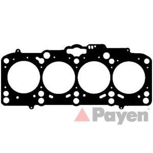 гарнитура, цилиндрова глава PAYEN AG8970