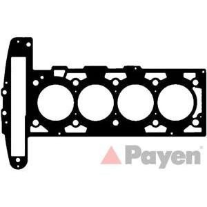 гарнитура, цилиндрова глава PAYEN AG9580