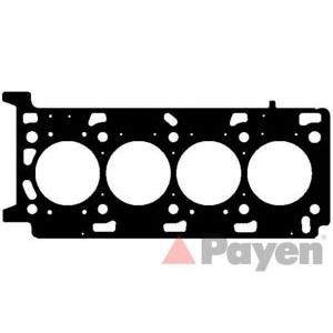 гарнитура, цилиндрова глава PAYEN AG9760