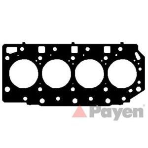 гарнитура, цилиндрова глава PAYEN AG9870