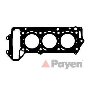 гарнитура, цилиндрова глава PAYEN AH5020