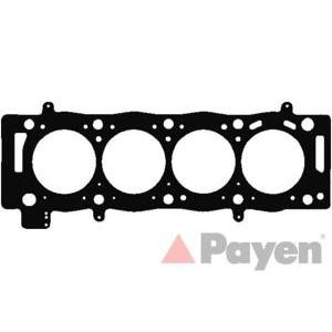 гарнитура, цилиндрова глава PAYEN AH5100
