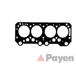 гарнитура, цилиндрова глава PAYEN BR540