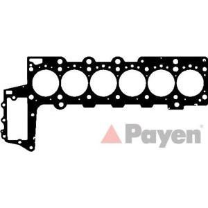 гарнитура, цилиндрова глава PAYEN BZ680 