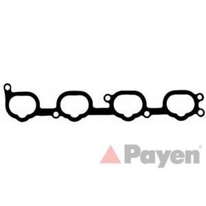 гарнитура всмукателен колектор PAYEN JA5039