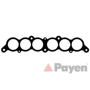 гарнитура всмукателен колектор PAYEN JA5058 