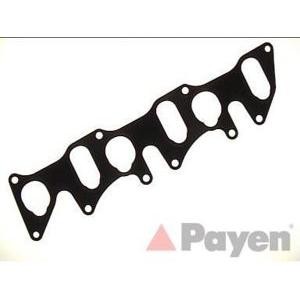 гарнитура всмукателен колектор PAYEN JA5068