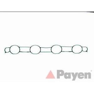 гарнитура всмукателен колектор PAYEN JD311 