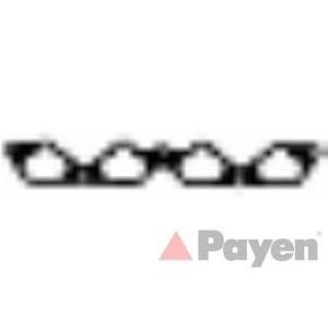 гарнитура всмукателен колектор PAYEN JD490 