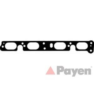 гарнитура всмукателен колектор PAYEN JD5149 